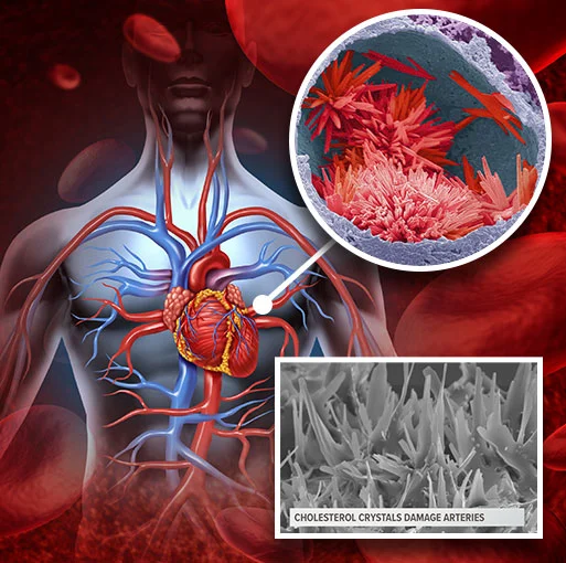 CardioC2 heart supplement